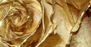 Was nun: Bestattungs-Vergolder oder Schmäh-Schrift-Buchautor mit eigener "Recht"-Schreibung?