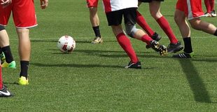 Wieder Wachstum am Markt für Glücksspiel & Sportwetten