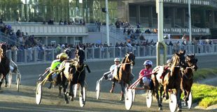 Novelle zum Tiroler Buchmacher- und Totalisateurgesetz