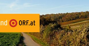 Nicht einmal, wer in der Kommission saß, haben die Interessenten erfahren, kritisiert der VwGH. (C) ORF.at