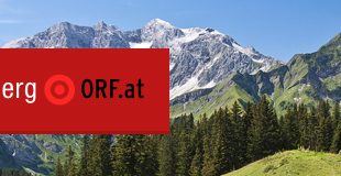 In den Spiellokalen selbst sind oft nur Strohmänner tätig. (C) ORF.at